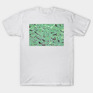 Shamrock Glass T-Shirt